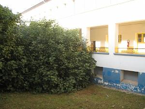 COUR INTERIEURE ECOLE NORMALE